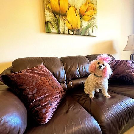 Beautiful Apartment With Pools, Playground And Paddle Tennis - Family Friendly And Near Vithas Hospital - Free Parking In Garage Benalmádena Dış mekan fotoğraf