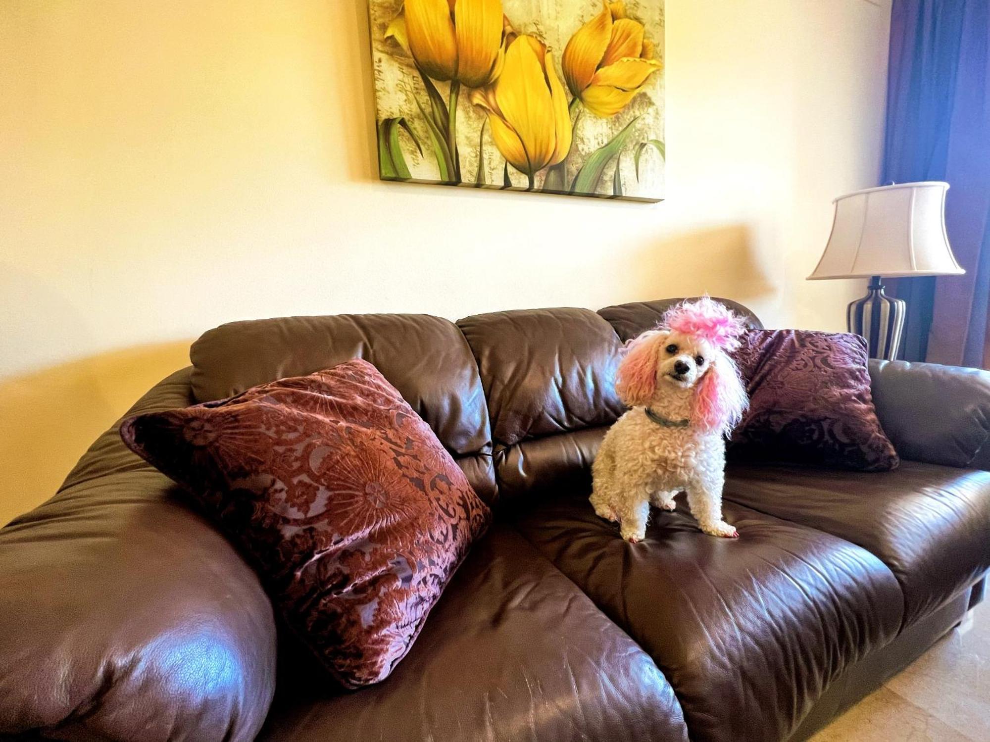 Beautiful Apartment With Pools, Playground And Paddle Tennis - Family Friendly And Near Vithas Hospital - Free Parking In Garage Benalmádena Dış mekan fotoğraf